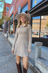 Fall Feelings Collared Sweater Mini Dress